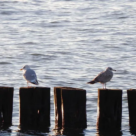 Apartment Haus Warnowblick Objekt 36737 Rostock
